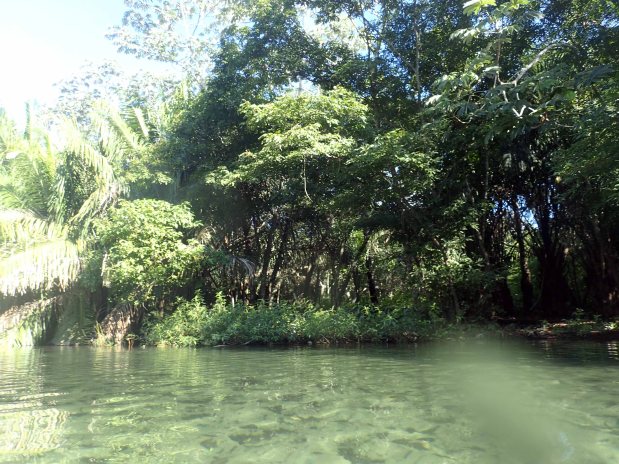 2016-12-20 Agua7.jpg