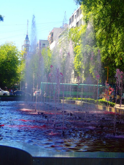 OLYMPUS DIGITAL CAMERA