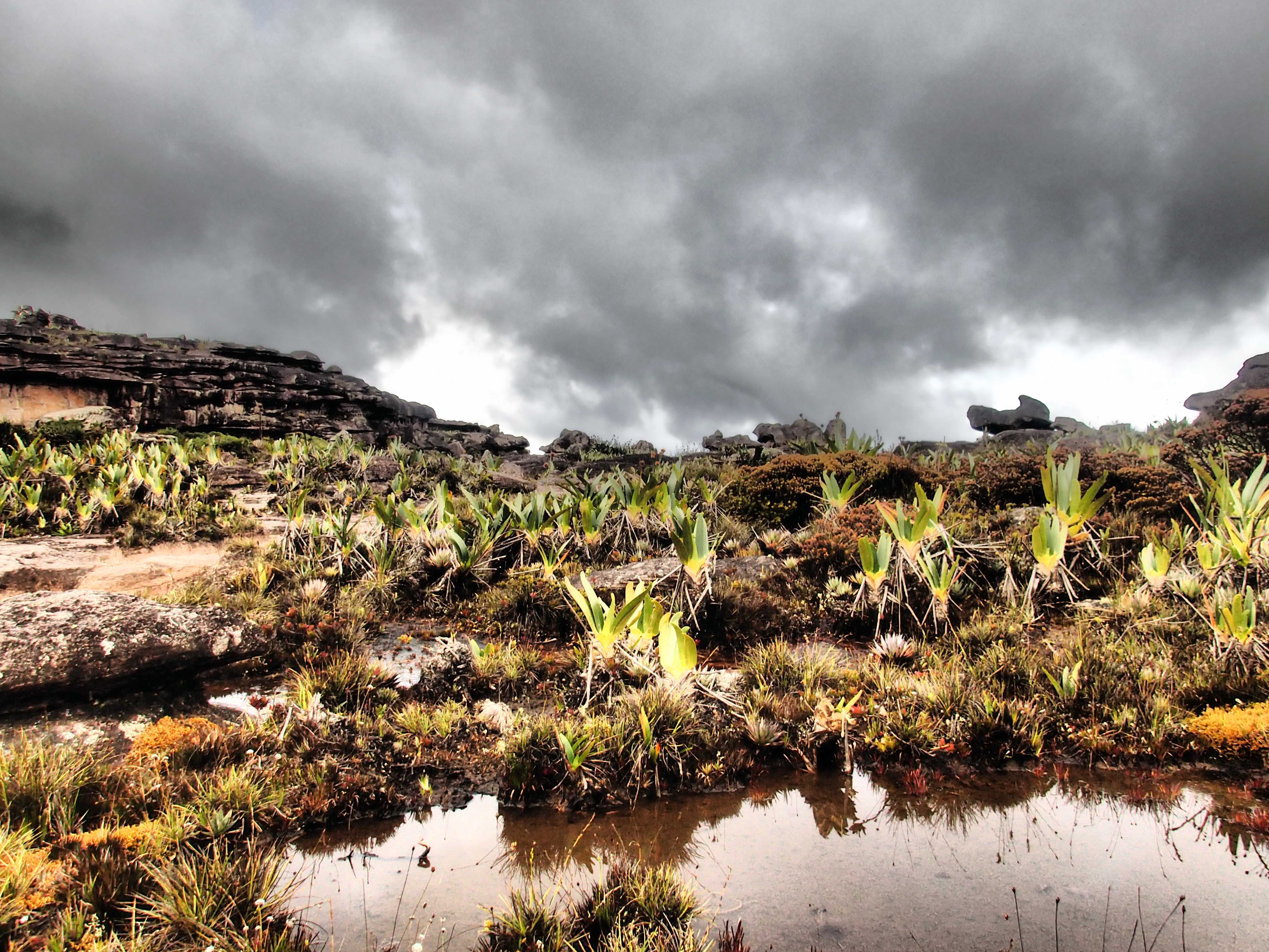 2017-04-28 Roraima28.jpg